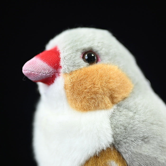 The Chonky Bird | Ugly Cute Animal Plush - Weirdcore Stress Relief Toy