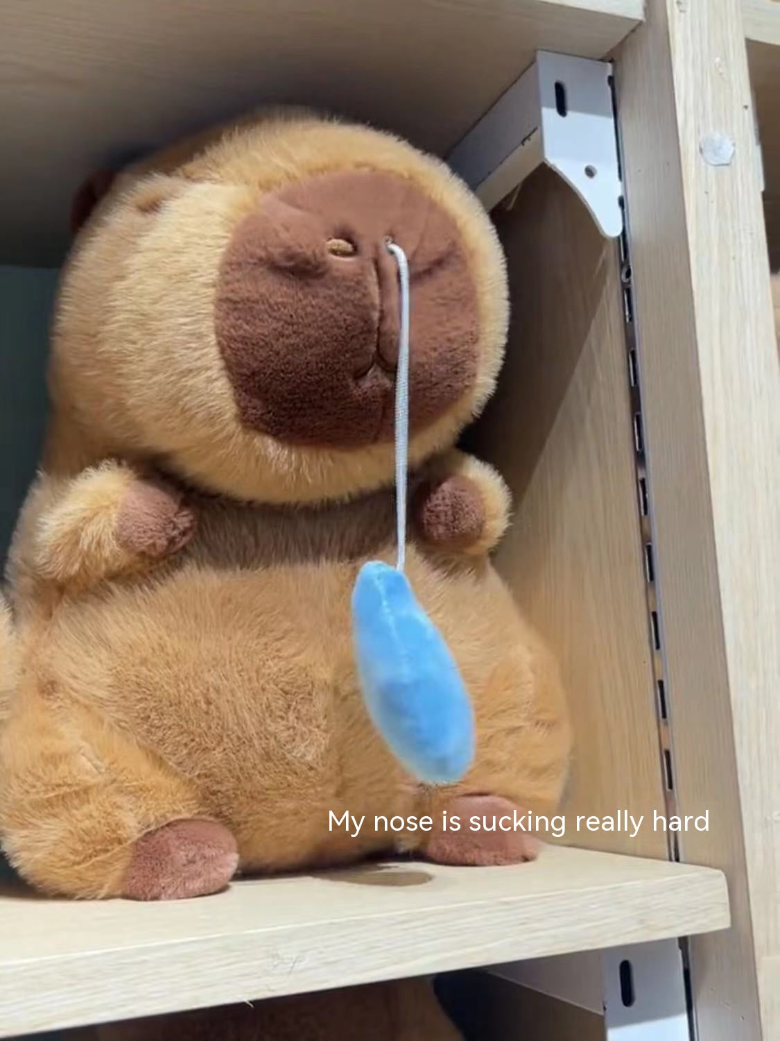 The Snot-Pulling Guru | Ugly Cute Plush - Weirdcore Toy