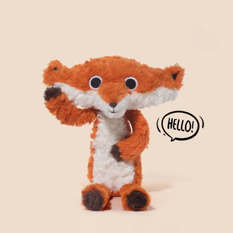 The Professional Derp | Shaggy Orange Fox Specimen #026